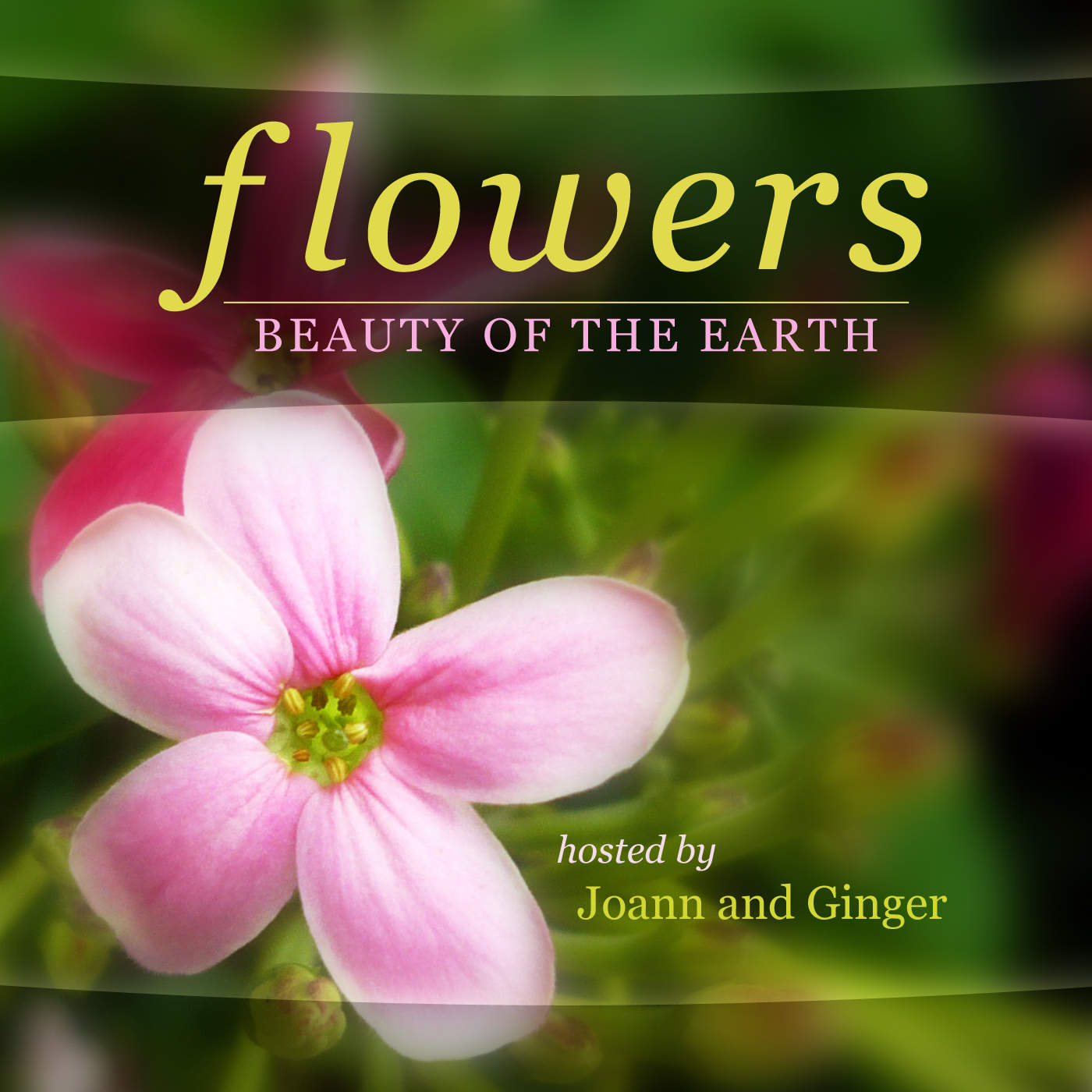 Flowers Beauty Earth