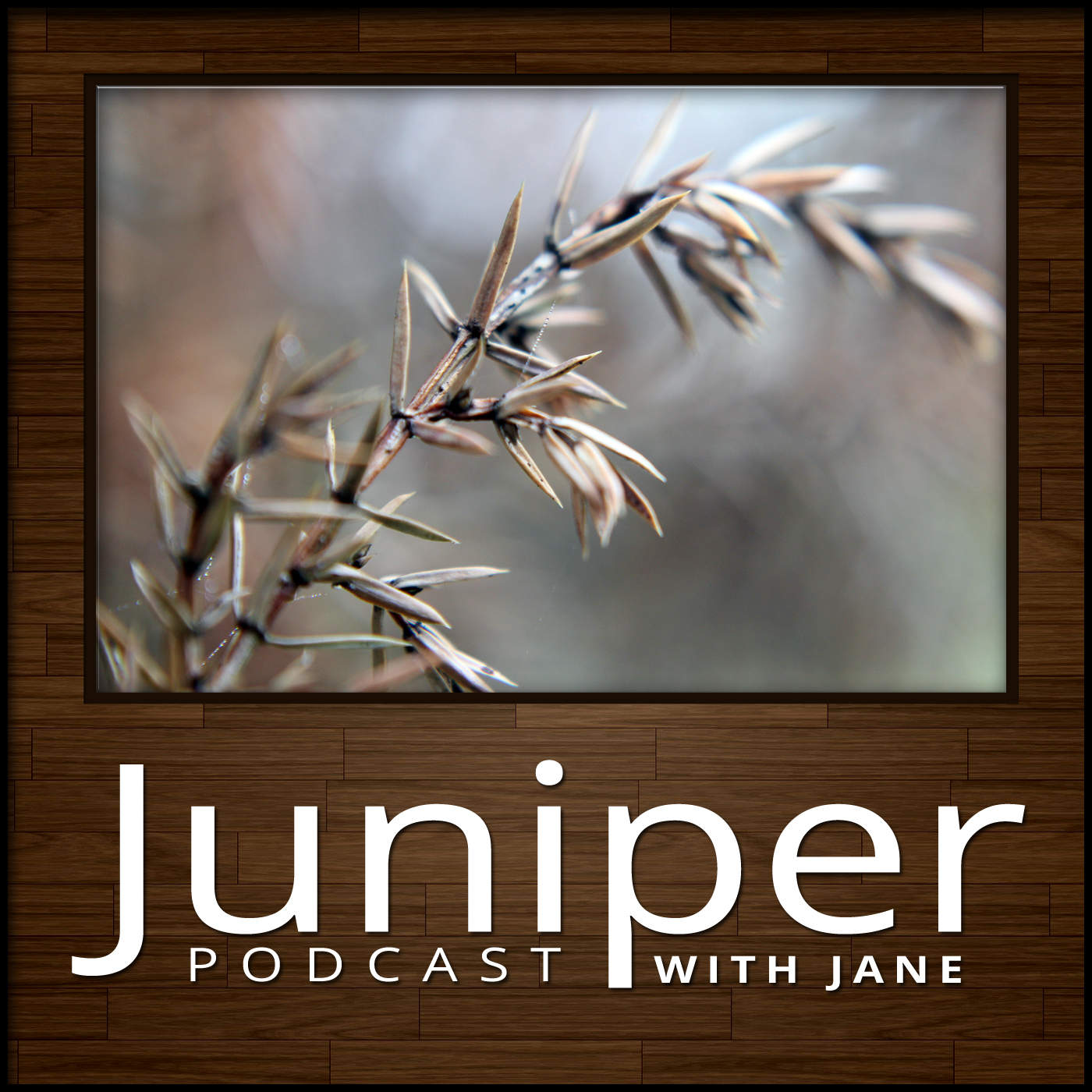 Juniper Podcast